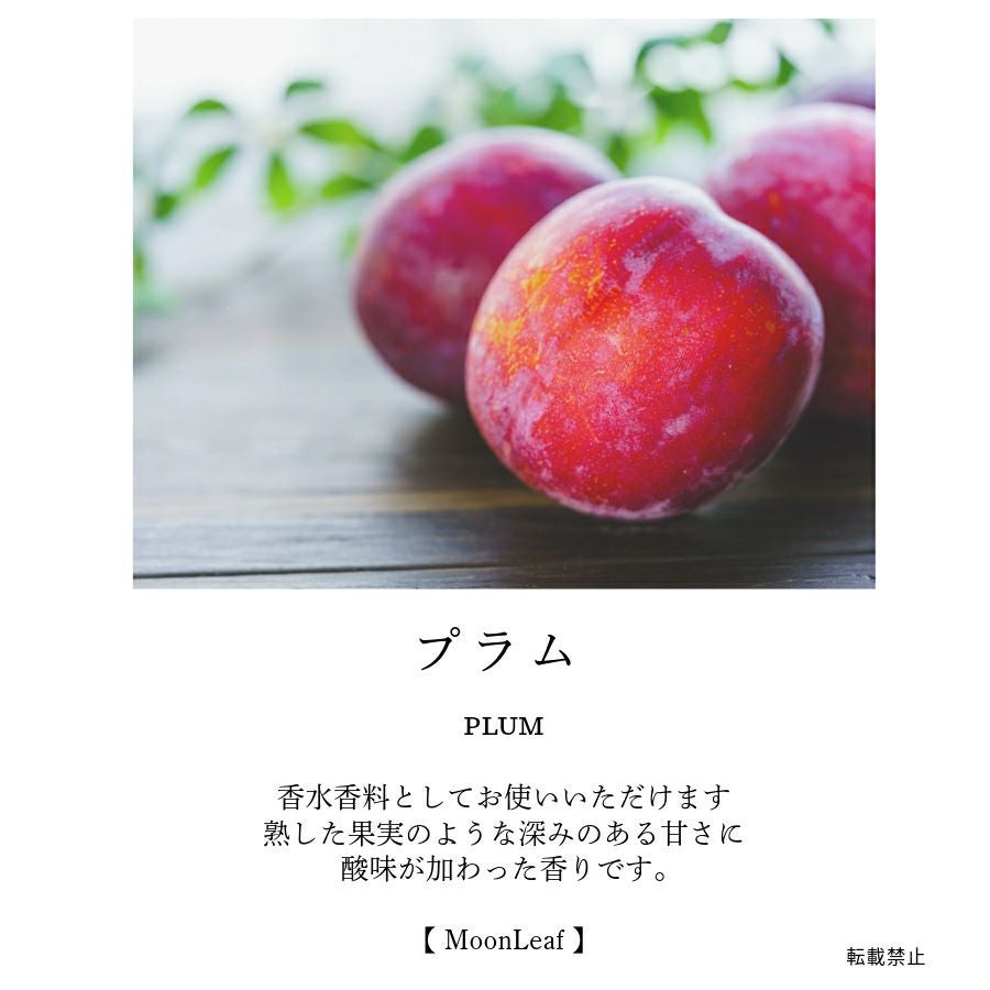 プラム 10ml | MoonLeaf Marche